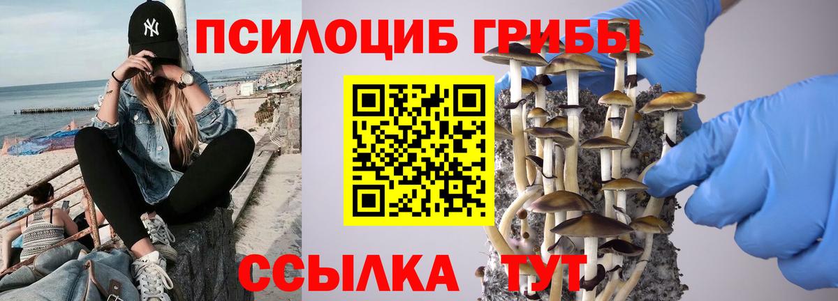 Псилоцибиновые грибы мицелий Саранск