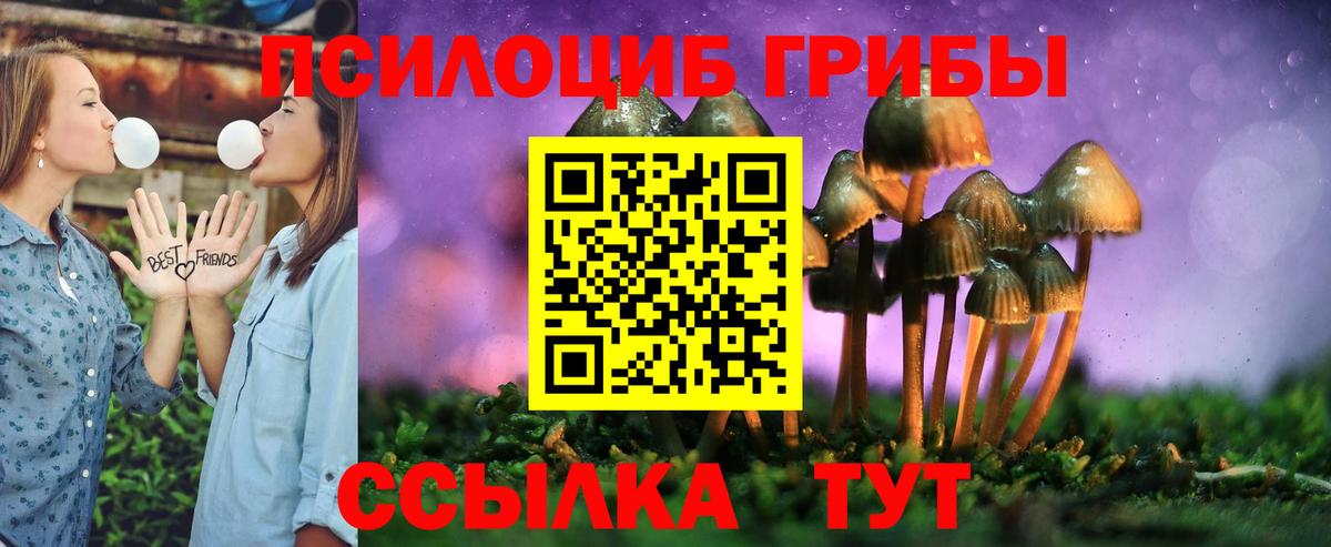 Саранск  Псилоцибиновые грибы мухоморы  Галлюциногенные грибы мицелий  Вход с VPN 